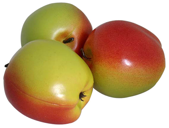 artificial fruit (still lifes)
